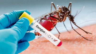Curso diagnóstico, manejo clínico y medidas preventivas del Dengue